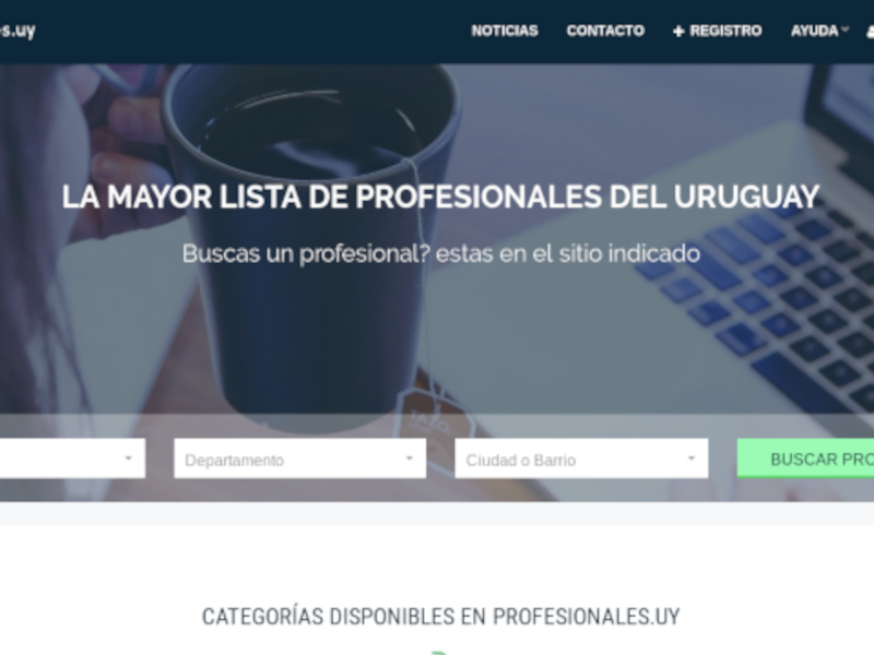 Profesionales Website